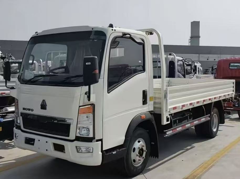 HOWO Light Cargo Truck