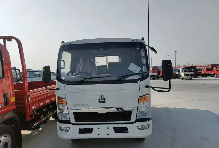 HOWO Light Cargo Truck factory
