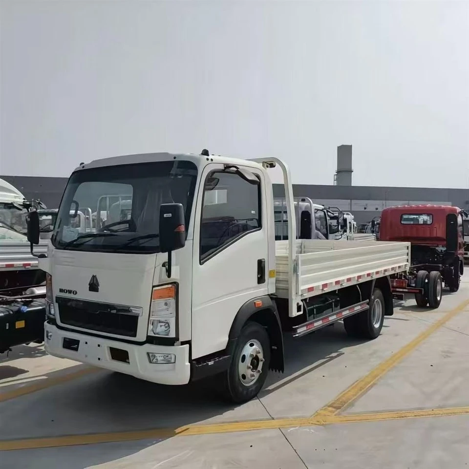 HOWO Light Cargo Truck best