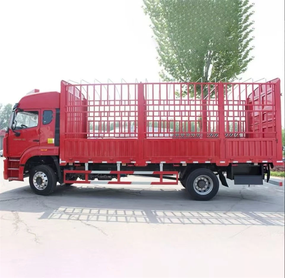 Howo NX4X2 10 Ton Cargo Truck factory