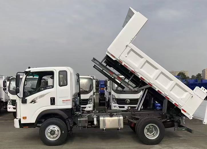 Light Duty Dump Truck
